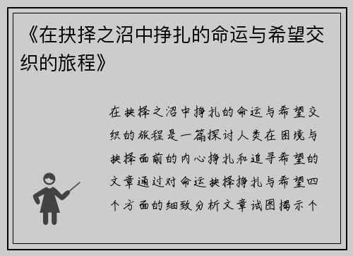 《在抉择之沼中挣扎的命运与希望交织的旅程》